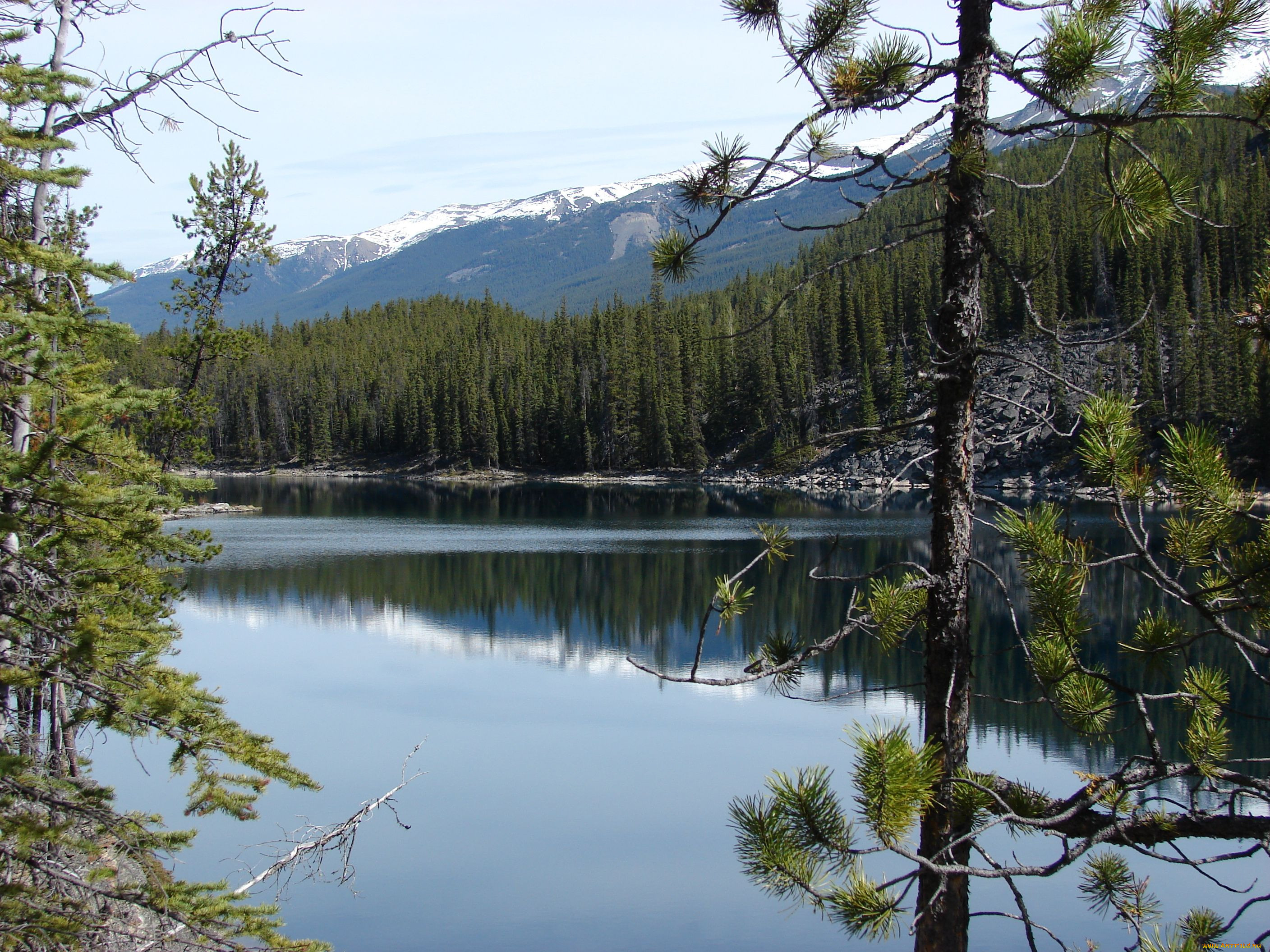 horseshoe, lake, jasper, national, park, , , , , 